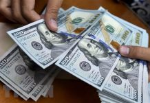 Tỷ giá USD hôm nay 11/12: Quay đầu giảm trên thị trường quốc tế