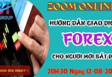 Zoom online: Hướng dẫn đầu tư cho người mới từ A-Z