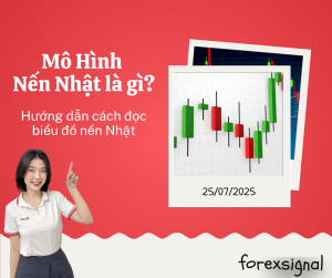 Web-kiến-thức-300x251